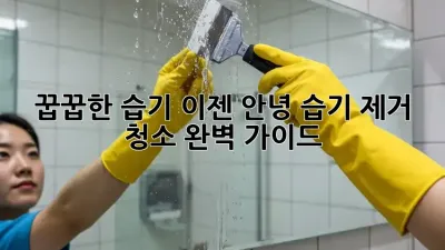 꿉꿉한 습기, 이젠 안녕! 습기 제거 청소 완벽 가이드