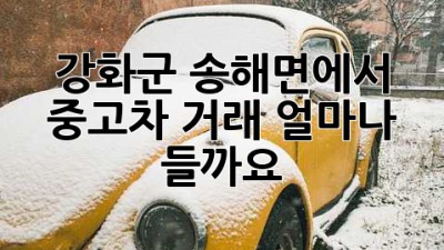 강화군 송해면에서 중고차 거래, 얼마나 들까요?
